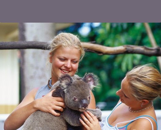 Cairns Tropical Zoo